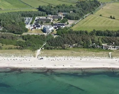 Kaeptn Brass 17 Ostseeperle Daire